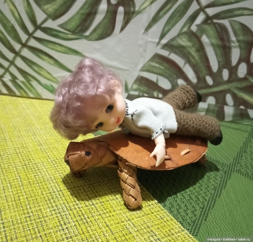 ФотоЧетверг. Удивительный мир черепах