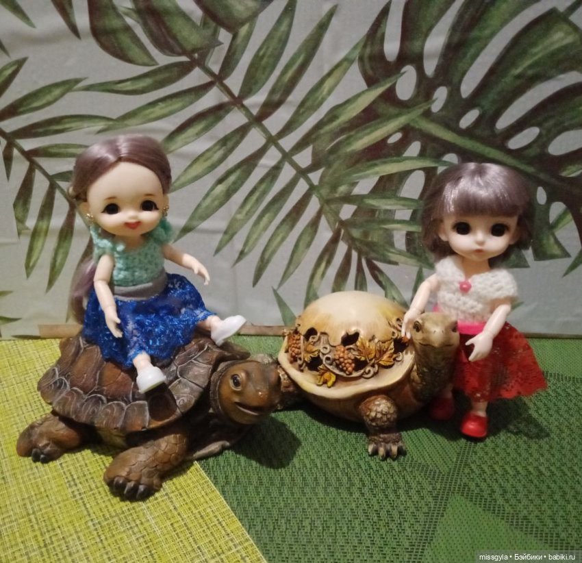 ФотоЧетверг. Удивительный мир черепах