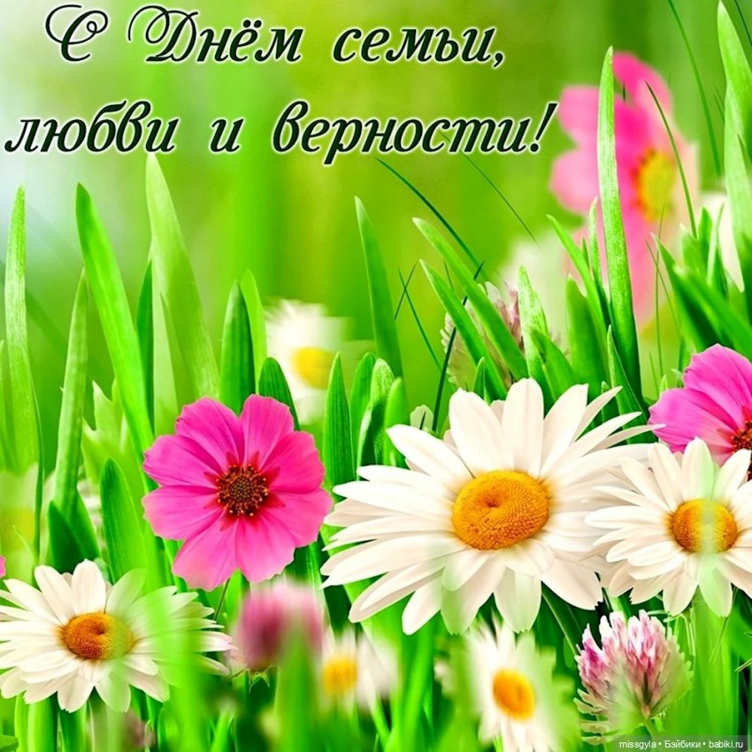 Семья - наша пристань 💖 (8 июля)