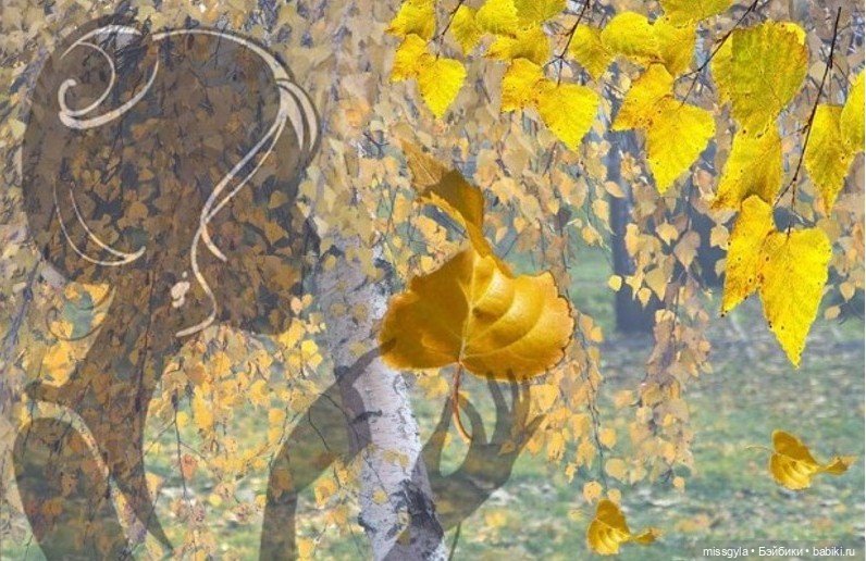 Вот и осень🍁🍂 — Аналоги Барби и куклы 1/6: клоны 90 (фото 5)