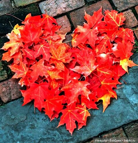 Вот и осень🍁🍂 — Аналоги Барби и куклы 1/6: клоны 90