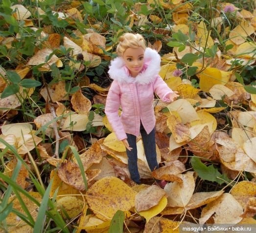 Вот и осень🍁🍂 — Аналоги Барби и куклы 1/6: клоны 90