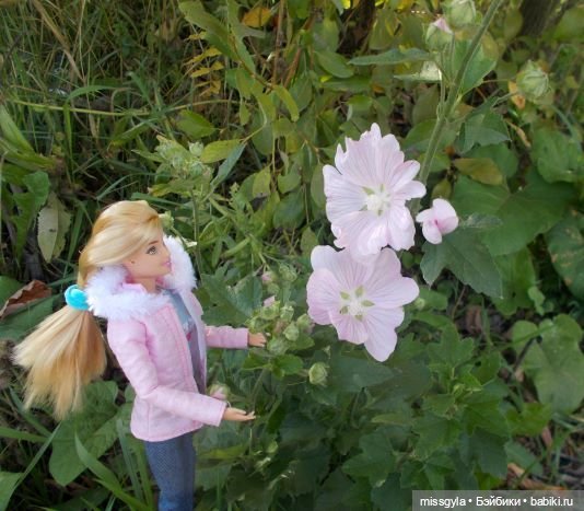 Вот и осень🍁🍂 — Аналоги Барби и куклы 1/6: клоны 90