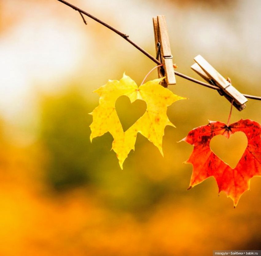 Вот и осень🍁🍂 — Аналоги Барби и куклы 1/6: клоны 90 (фото 9)