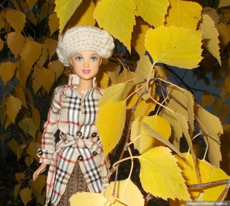 Вот и осень🍁🍂 — Аналоги Барби и куклы 1/6: клоны 90 (фото 7)