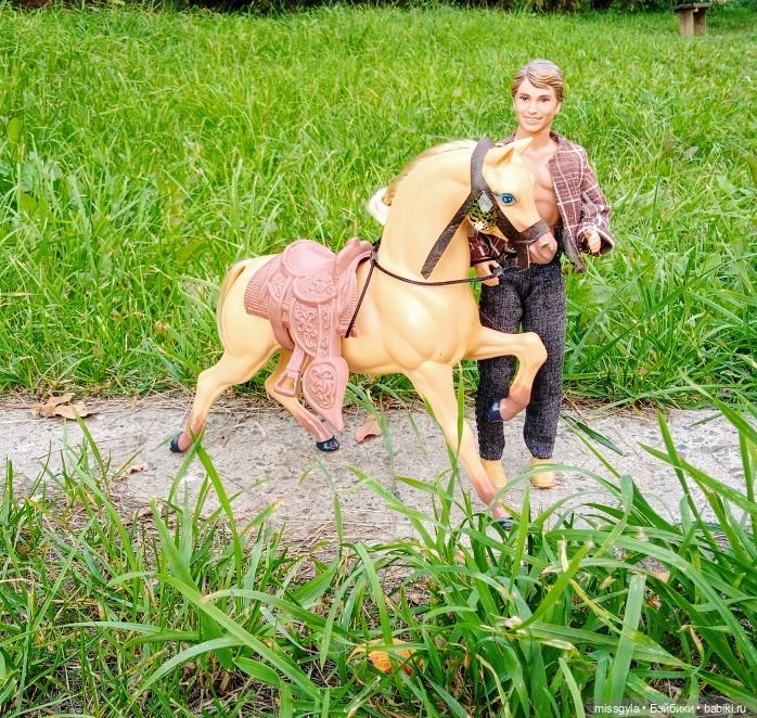 Морпехи не сдаются (Дурная голова- беспокойство всему организму...)