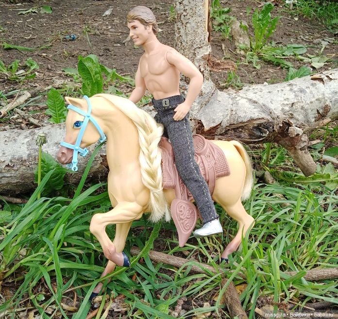 Морпехи не сдаются (Дурная голова- беспокойство всему организму...)