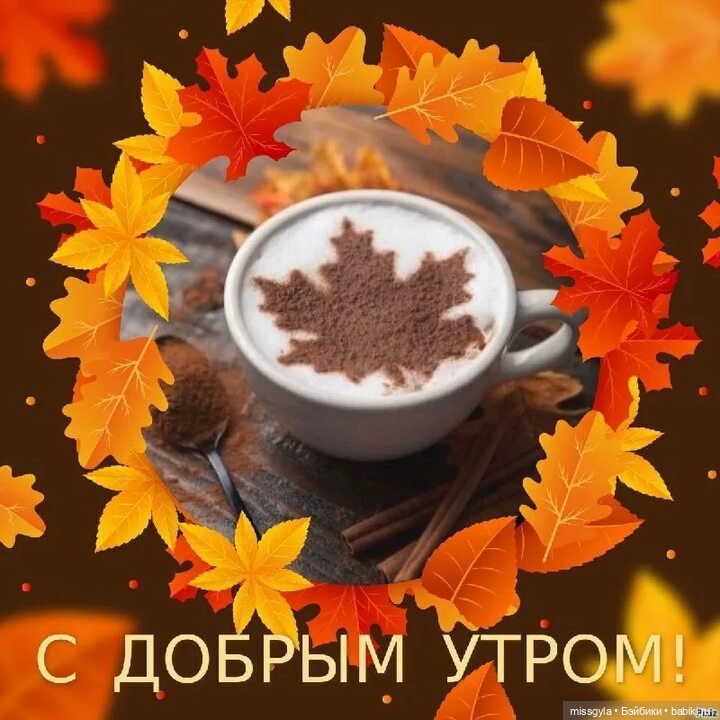 Доброго утра! Прекрасного дня 🤗