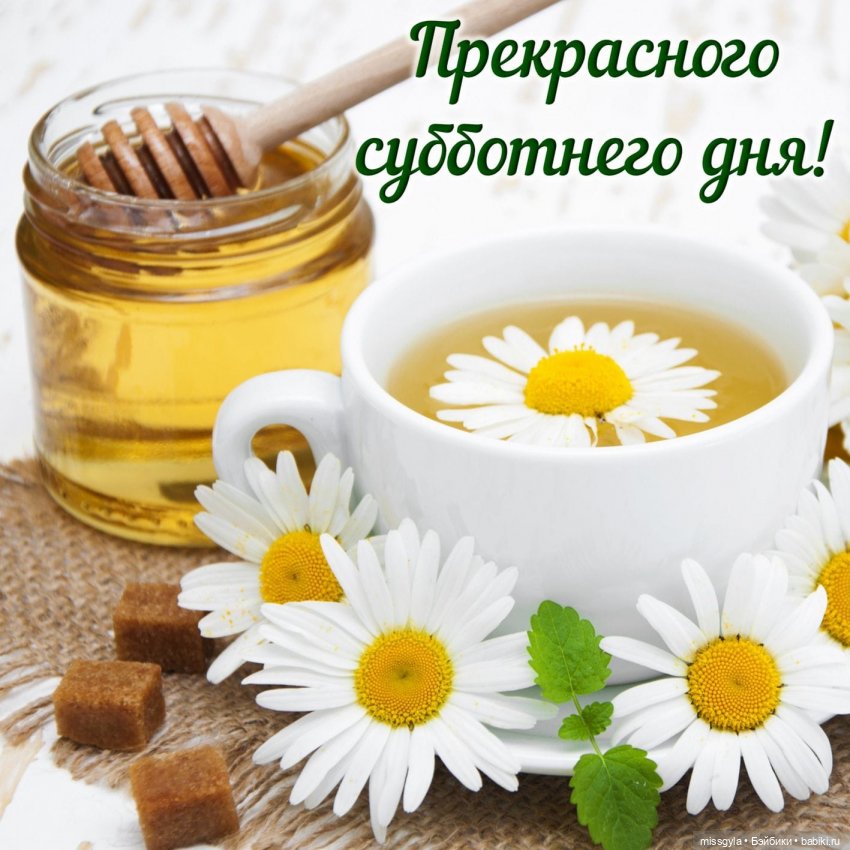 Доброго утра! Прекрасного дня 🤗 (фото 10)