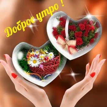 Доброго утра! Прекрасного дня 🤗