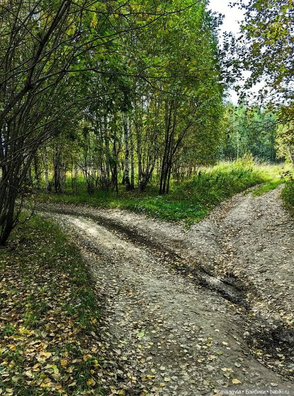 Между звёзд и миров (Таис)