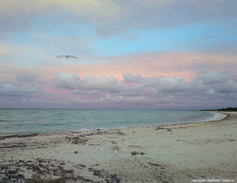 Между звёзд и миров (и у бессмертных есть свои слабости) (фото 4)