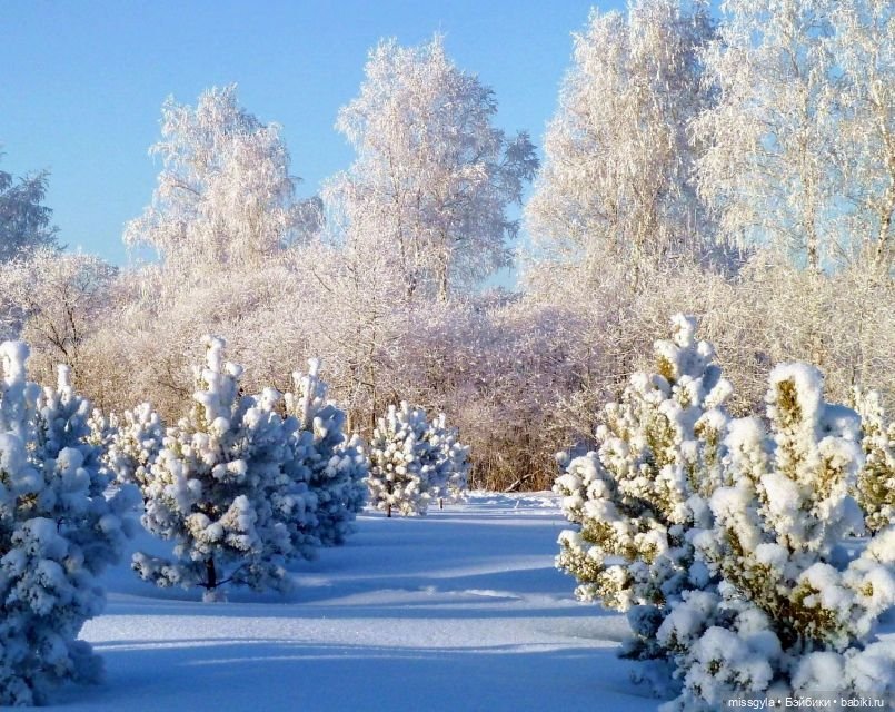 Новогодняя телепрограмма. Кинозарисовка