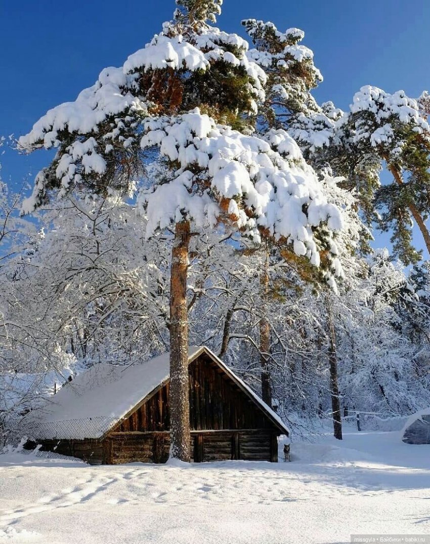 Новогодняя телепрограмма. Кинозарисовка (фото 4)