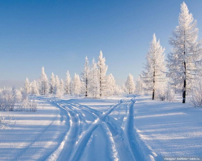 Новогодняя телепрограмма. Кинозарисовка