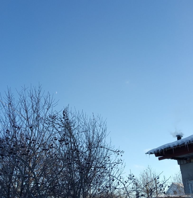 Новогодняя телепрограмма. Кинозарисовка