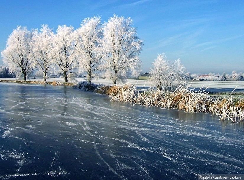 Новогодняя телепрограмма. Кинозарисовка