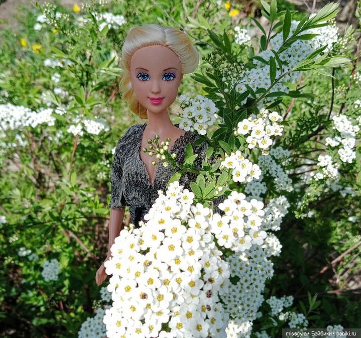 Вопросы - ответы. Челлендж