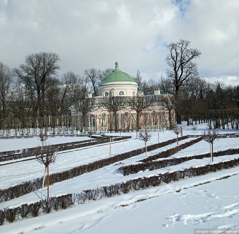 Джина в Царском Селе (март- 2025 г.)