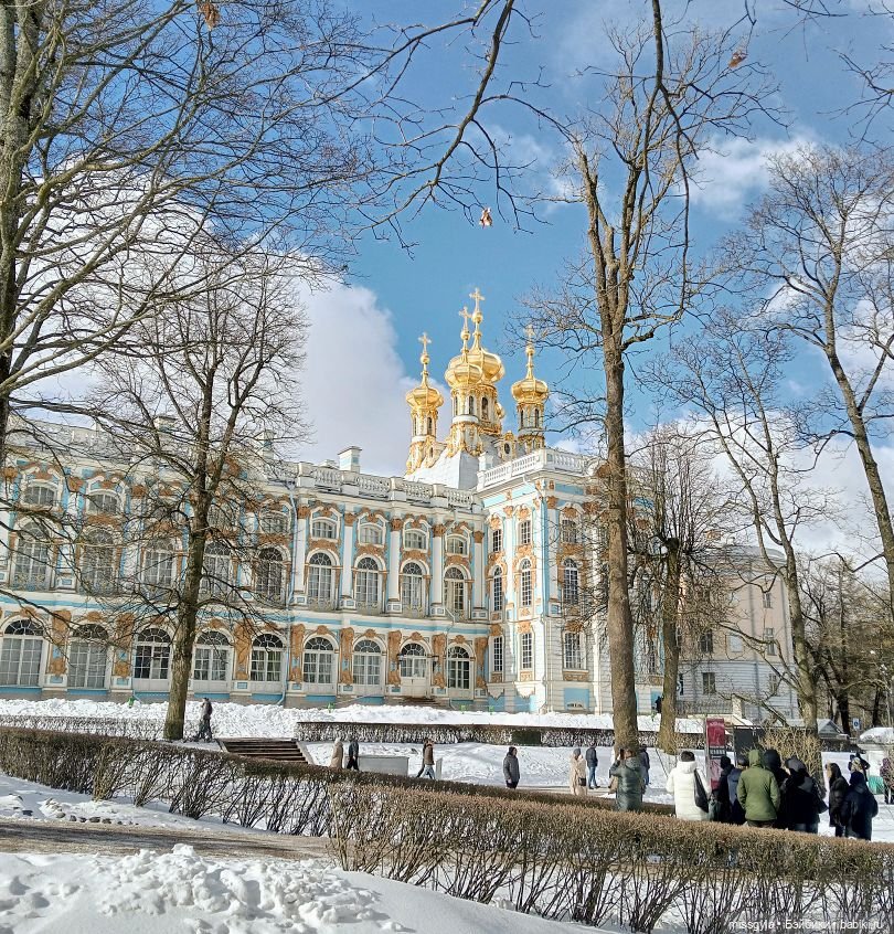 Джина в Царском Селе (март- 2025 г.)