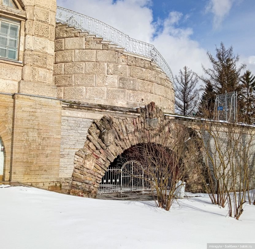 Джина в Царском Селе (март- 2025 г.)