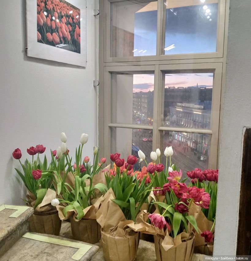 Санкт-Петербург. Встречи, мосты и тюльпаны