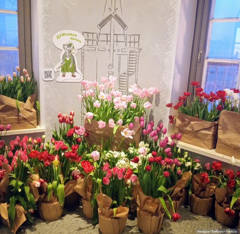 Санкт-Петербург. Встречи, мосты и тюльпаны