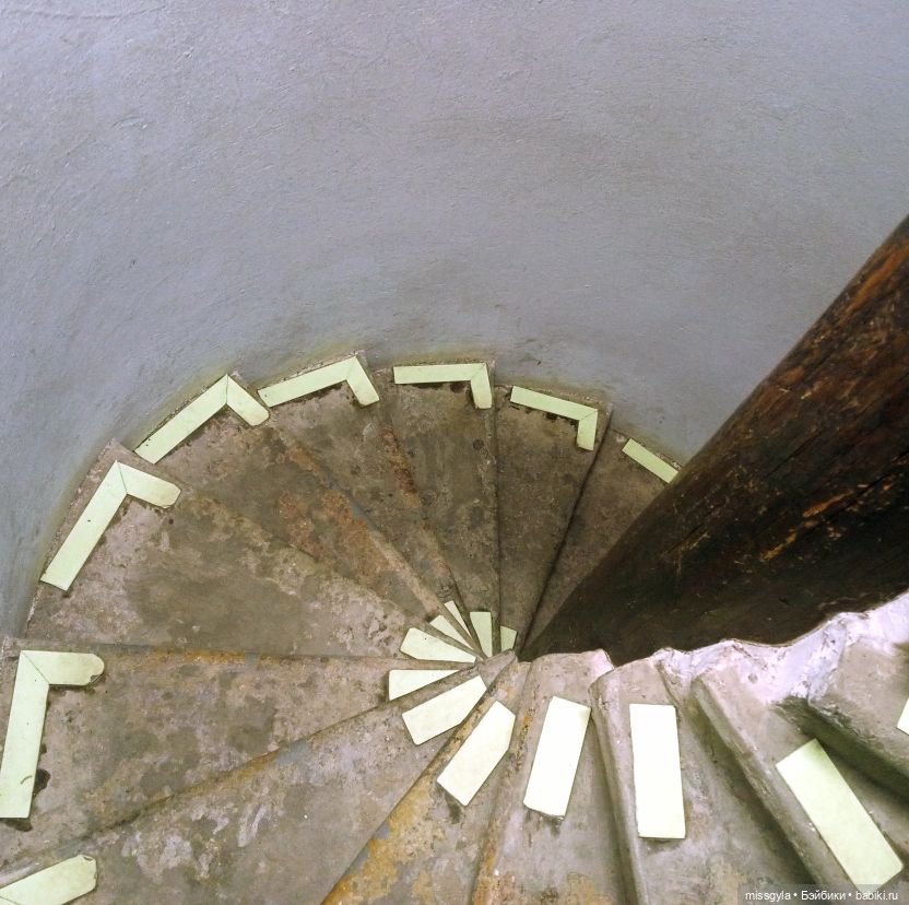 Санкт-Петербург. Встречи, мосты и тюльпаны