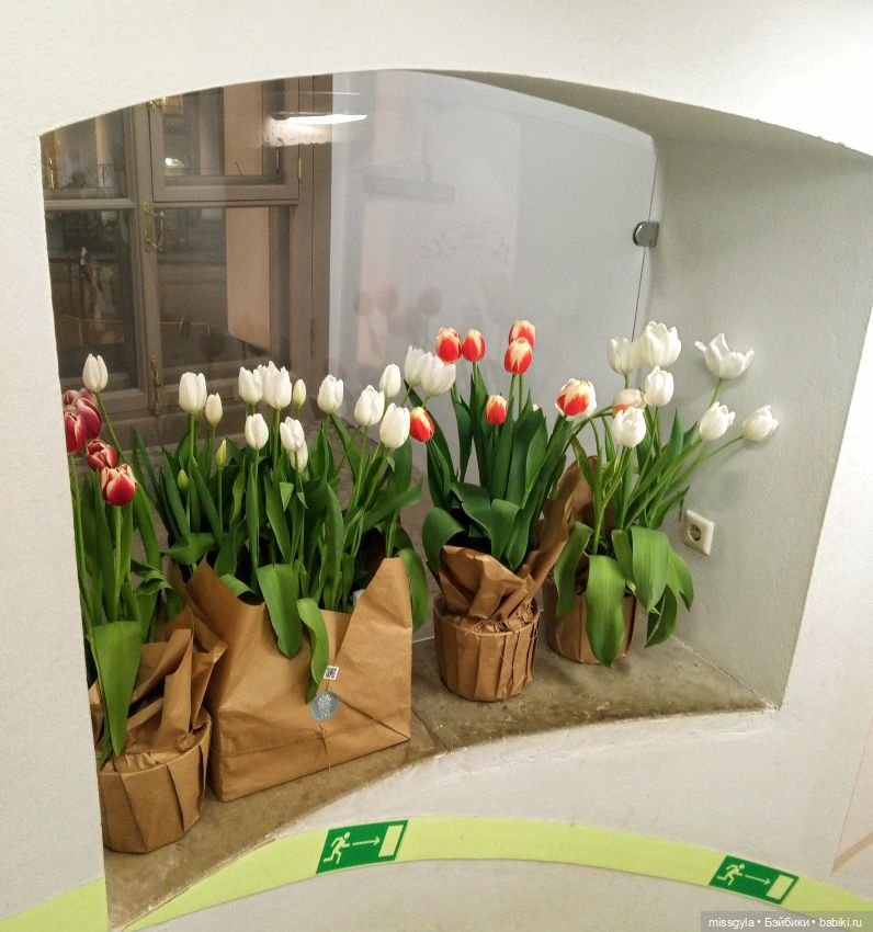 Санкт-Петербург. Встречи, мосты и тюльпаны