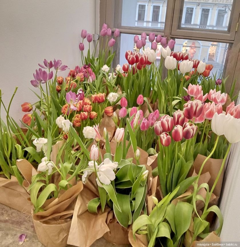 Санкт-Петербург. Встречи, мосты и тюльпаны