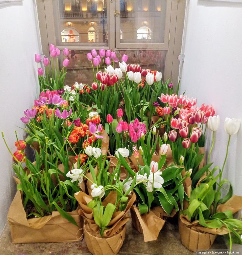 Санкт-Петербург. Встречи, мосты и тюльпаны