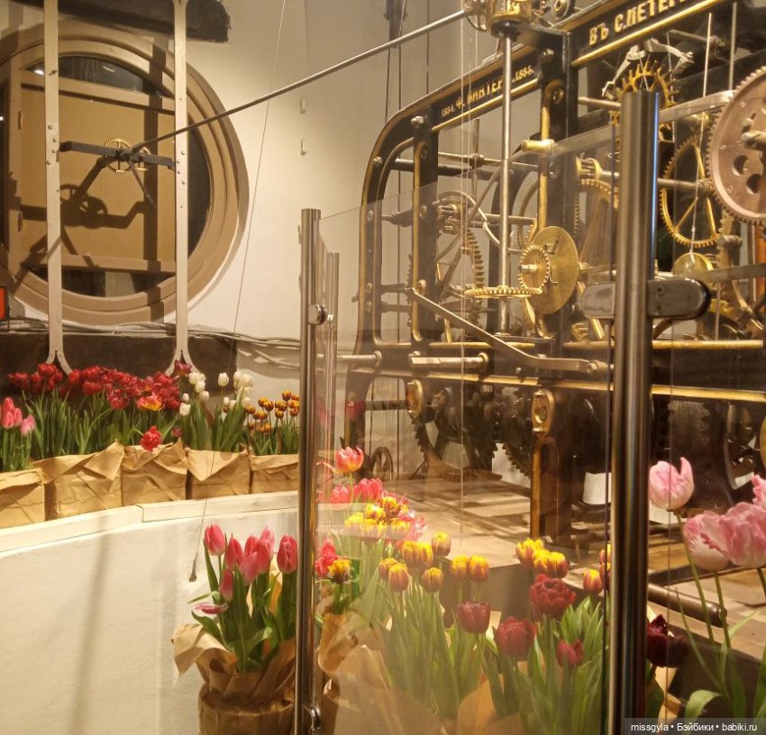 Санкт-Петербург. Встречи, мосты и тюльпаны