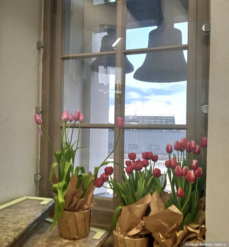 Санкт-Петербург. Встречи, мосты и тюльпаны