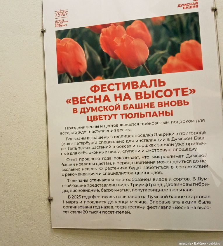 Санкт-Петербург. Встречи, мосты и тюльпаны