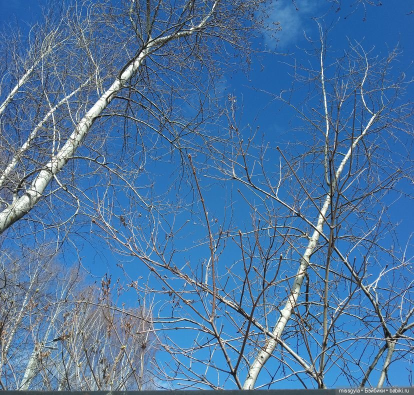 Апрельские прогулки. Джулия