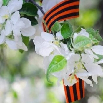 С Днём Победы 🚩