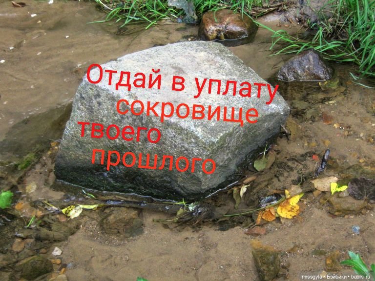 Сказки барда Бидля (Августфест-2025)