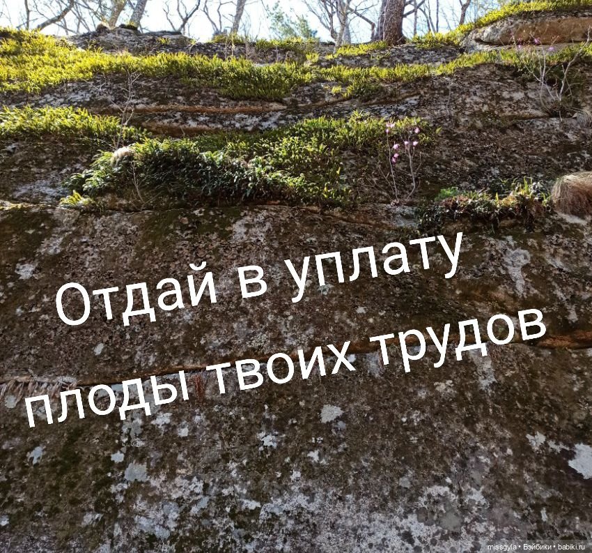 Сказки барда Бидля (Августфест-2025)