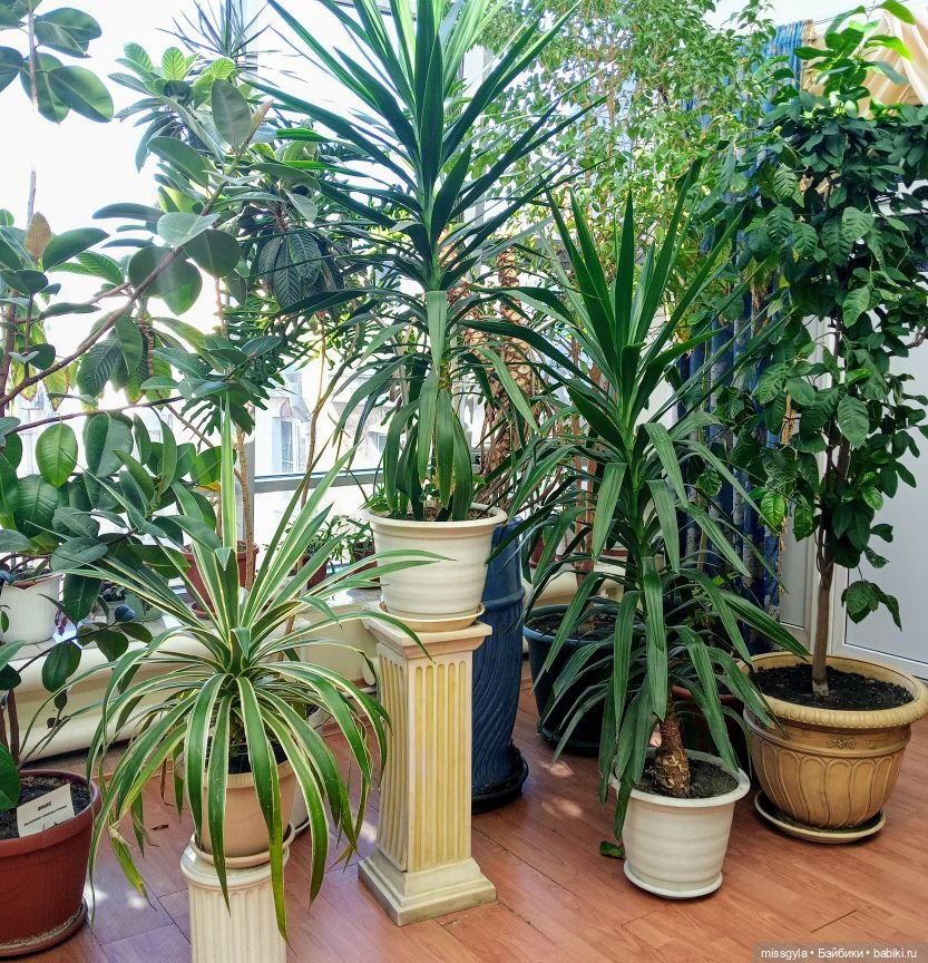 Репортаж из Санкт-Петербурга