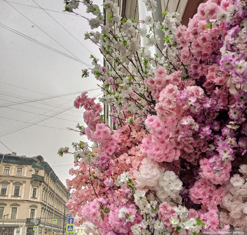 Репортаж из Санкт-Петербурга