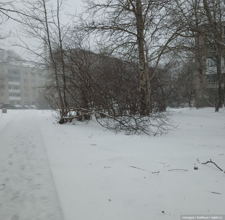 Без актива нет коллектива🤝 (фото 3)