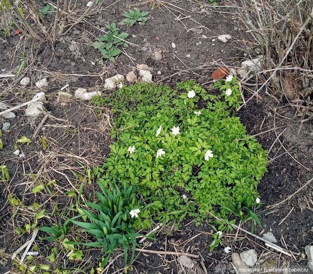 Без актива нет коллектива🤝 (фото 5)