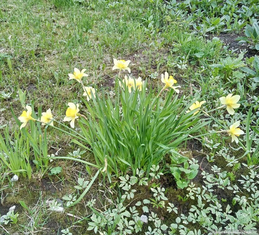 Без актива нет коллектива🤝