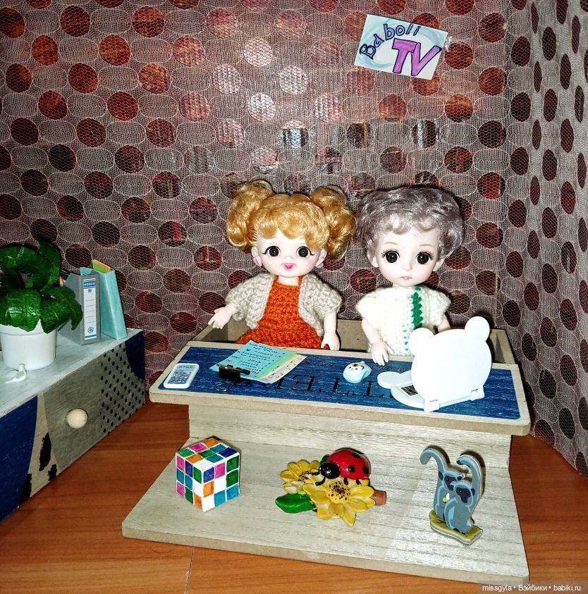 Телестудия "Baboli-TV". За кадром (фото 5)