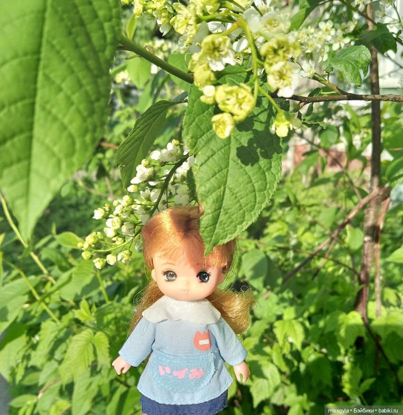 Семейная прогулка. Встречаем лето