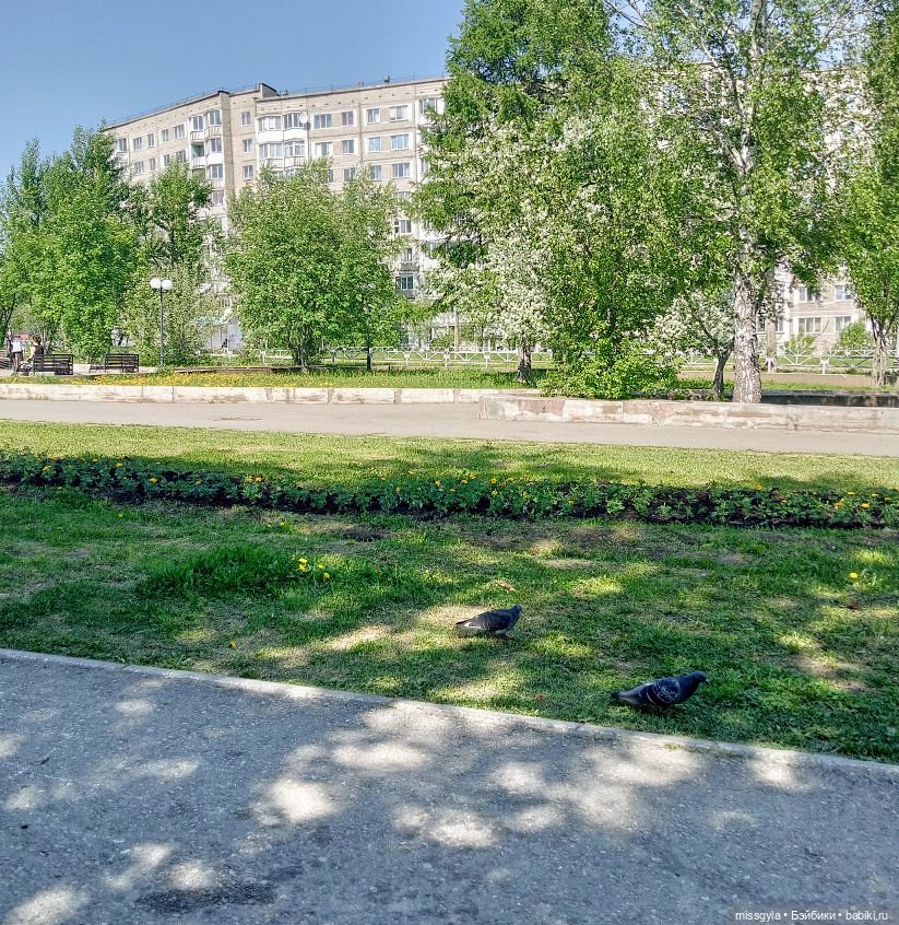 Семейная прогулка. Встречаем лето