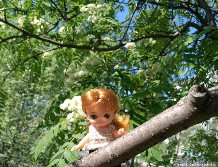 Семейная прогулка. Встречаем лето