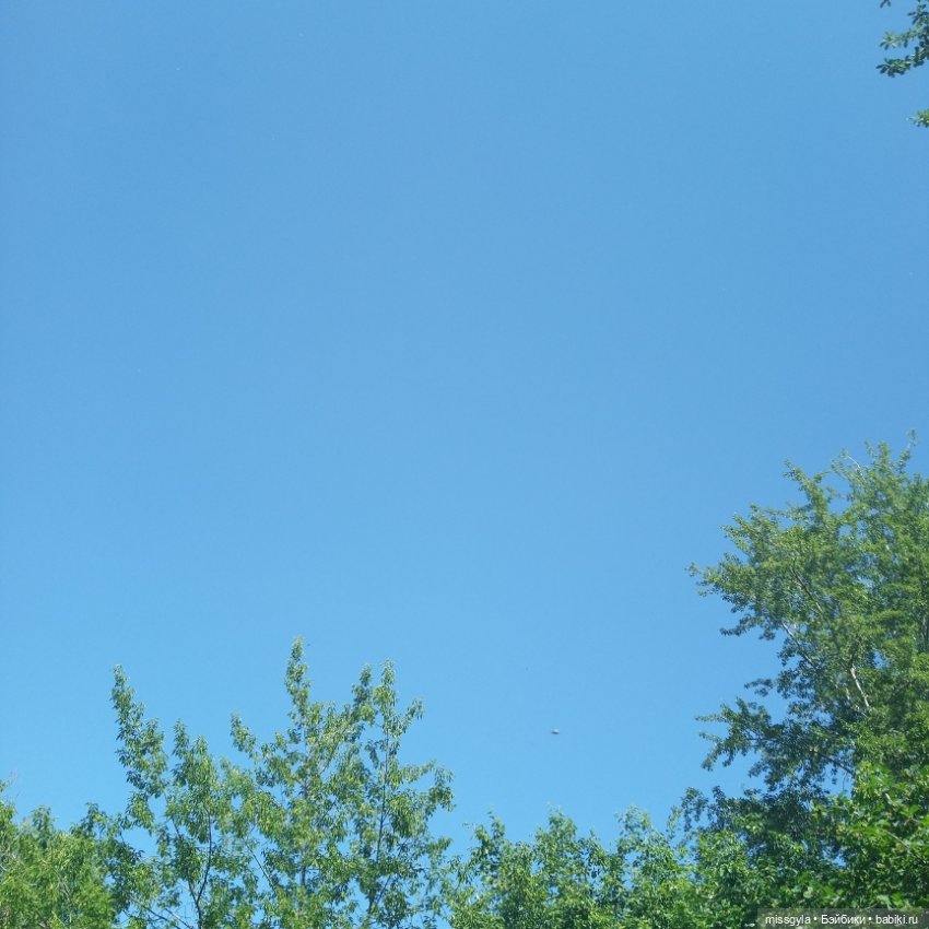 Встречи на Волшебной поляне