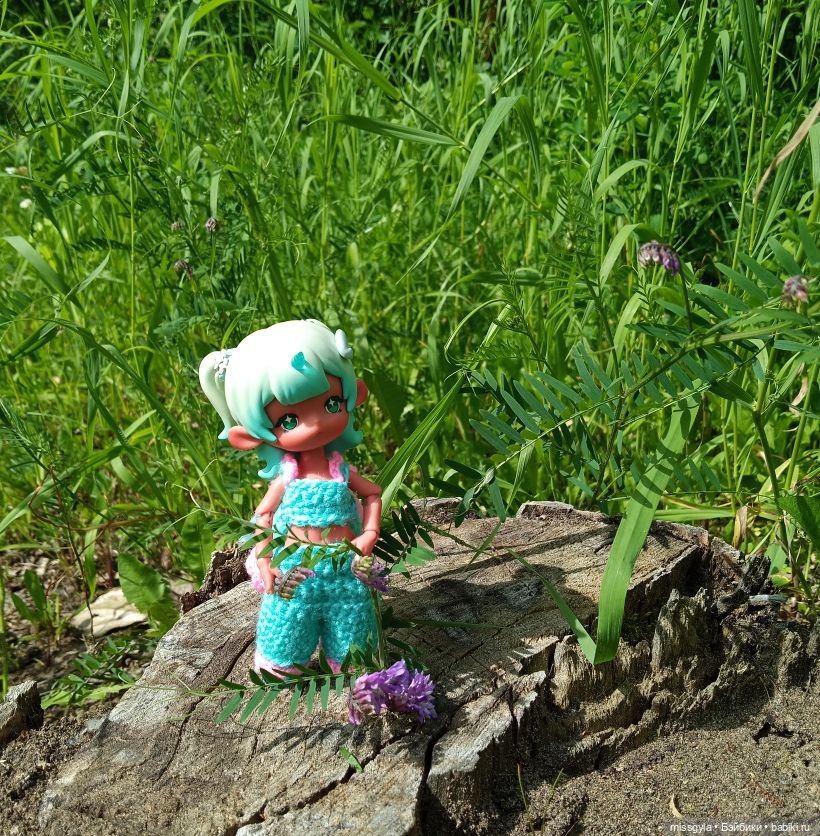 Встречи на Волшебной поляне