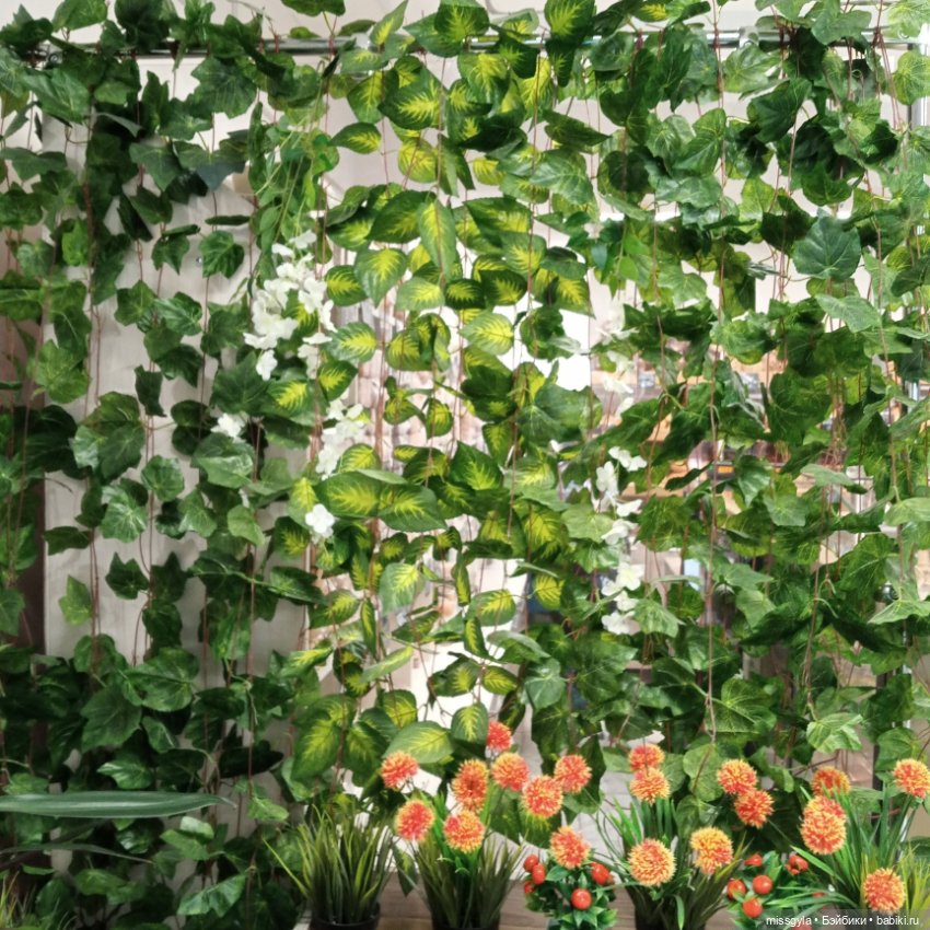 Встречи на Волшебной поляне